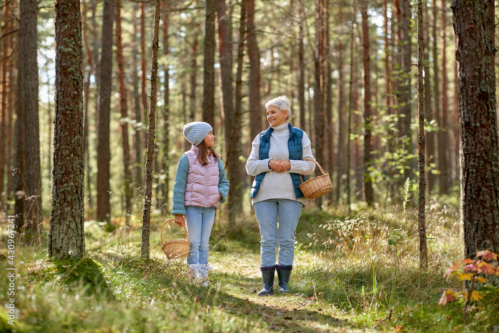 picking season, leisure and people concept - grandmother and granddaughter with baskets and mushrooms in forest picking season, leisure and people concept - grandmother and granddaughter with baskets and mushrooms in forest