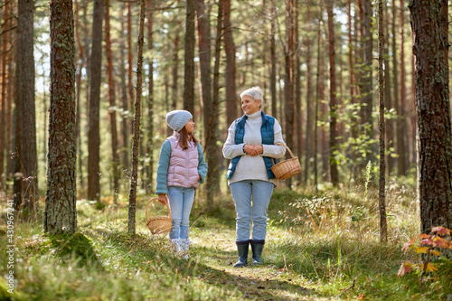 picking season, leisure and people concept - grandmother and granddaughter with baskets and mushrooms in forest