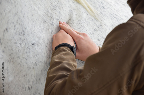 person massaging a horse animal massage