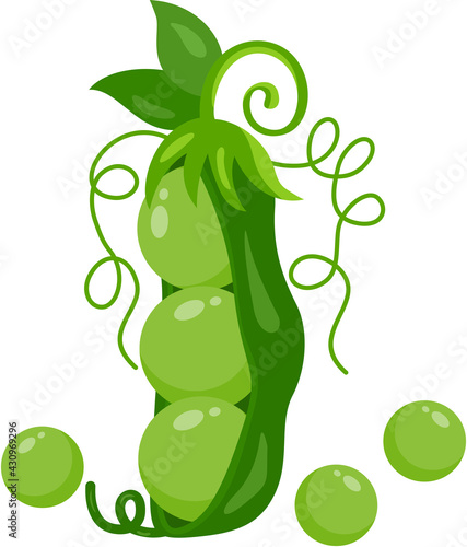 Fresh peas and green pod
