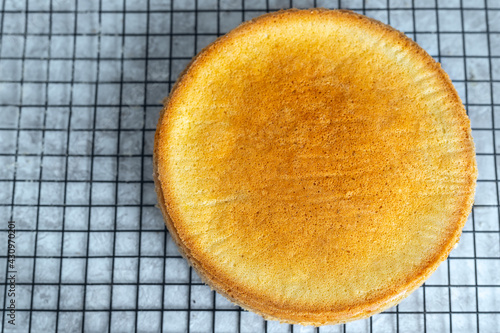 Photographie The sponge cake base has just been baked and is cooling on the cooking grill