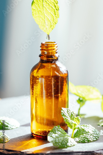 Droplet of mint or peppermint essential oil in a glass bottle, used as an alternative medicine in aromatherapy or diluted in a carrier oil directly on skin