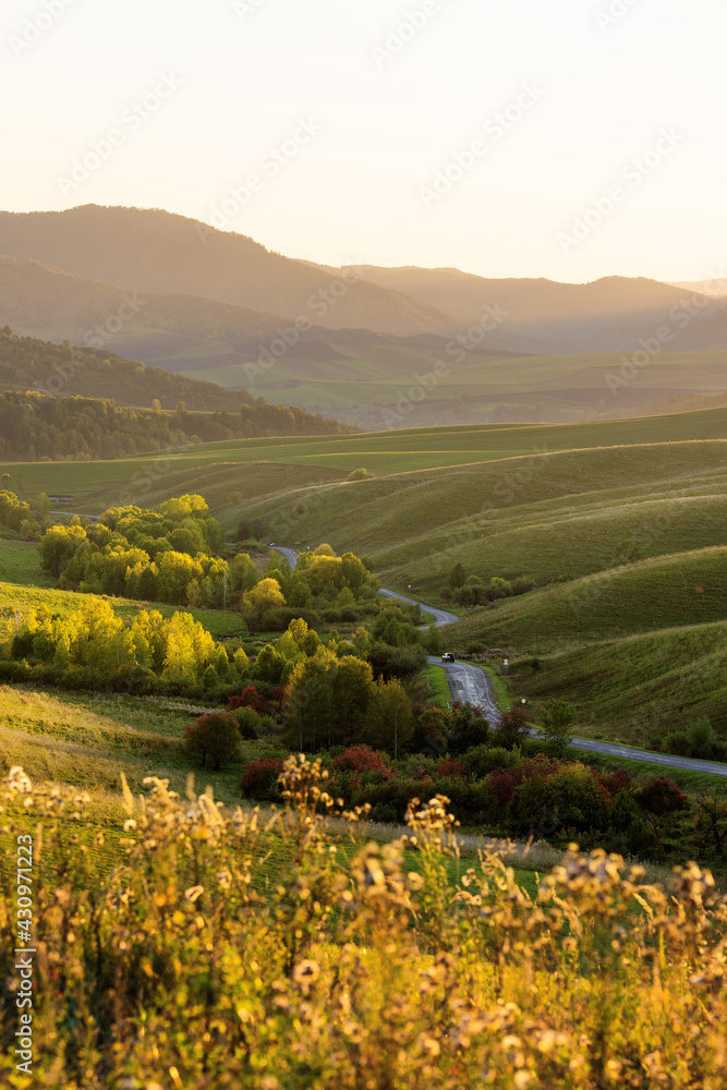 Beautiful sunset landscape. Hills in waves, road and forest. Russia, Altai