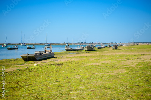 Wallpaper Mural Boats for oysterculture laying on the beach of la patache on the isle of ile de Ré on sunny summerday at lowtide with the church of Ars-en_Ré in the background. Torontodigital.ca