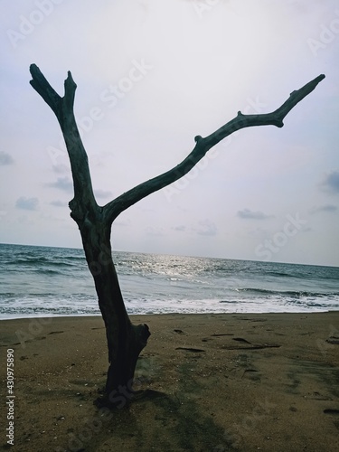 person jumping on the beach