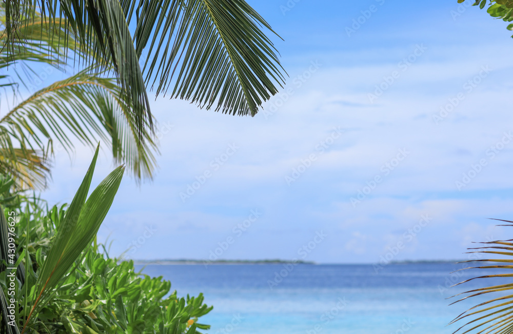 Fototapeta premium palm leaves on tropical island resort, Maldives