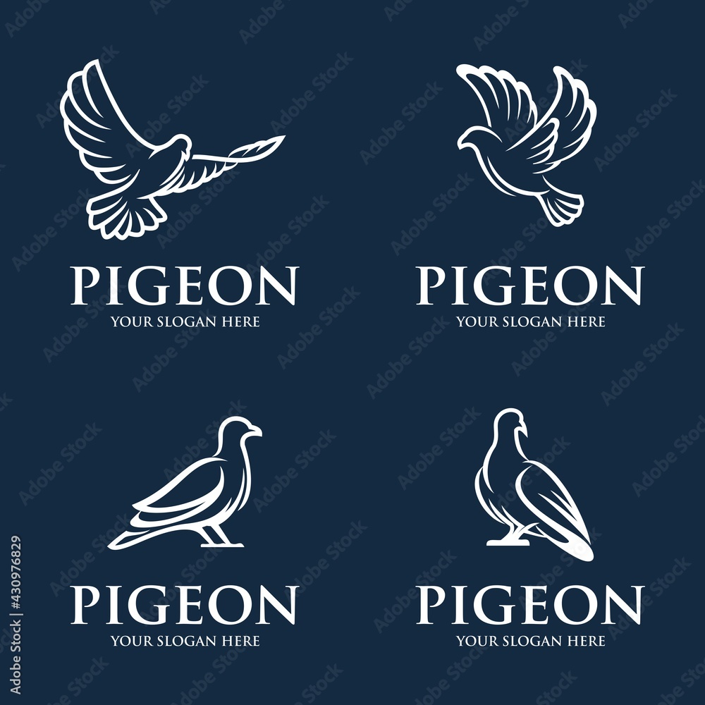 Obraz premium pigeon logo