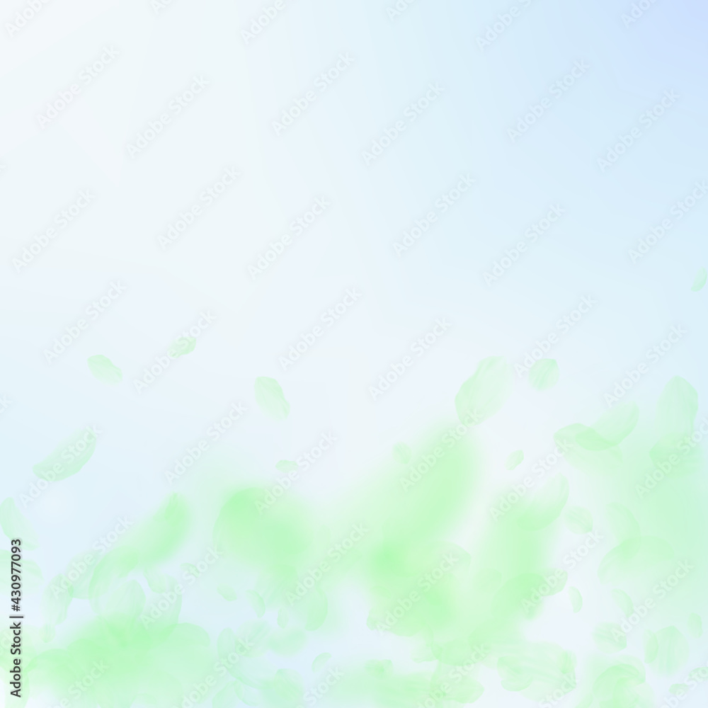 Green flower petals falling down. Comely romantic Green flower petals falling down. Comely romantic