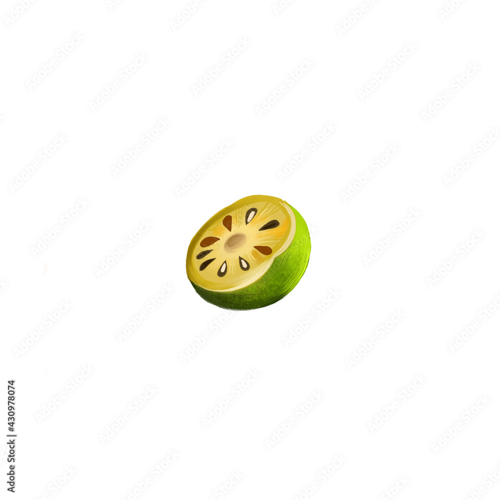 Fototapeta premium Bael Fruit Aegle marmelos isolated. Dry slices and fresh fruit of bael. Aegle marmelos, bael, bhel, also Bengal quince, golden apple, Japanese bitter orange, stone apple, or wood apple. Digital art.