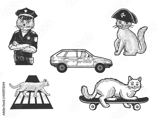 Cat pet animal set sketch engraving vector illustration. T-shirt apparel print design. Scratch board imitation. Black and white hand drawn image.