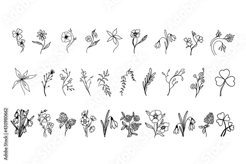 A set of hand-drawn flowers, plants and herbs. The collection includes:clover, chamomile, lily, wild flowers, poppy, lily of the valley, snowdrops and others