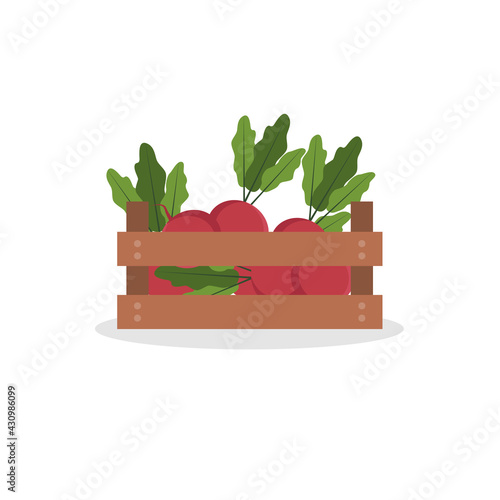 Wooden box with beets icon on isolated white background. Vector illustration flat cartoon style