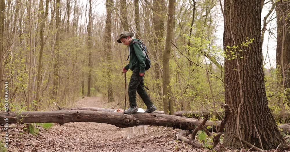 Boy is walking on log and playing in fores. Active boy is walking on the beam to overcome obstacles. Childhood and development. Slow motion Boy is walking on log and playing in fores. Active boy is walking on the beam to overcome obstacles. Childhood and development. Slow motion