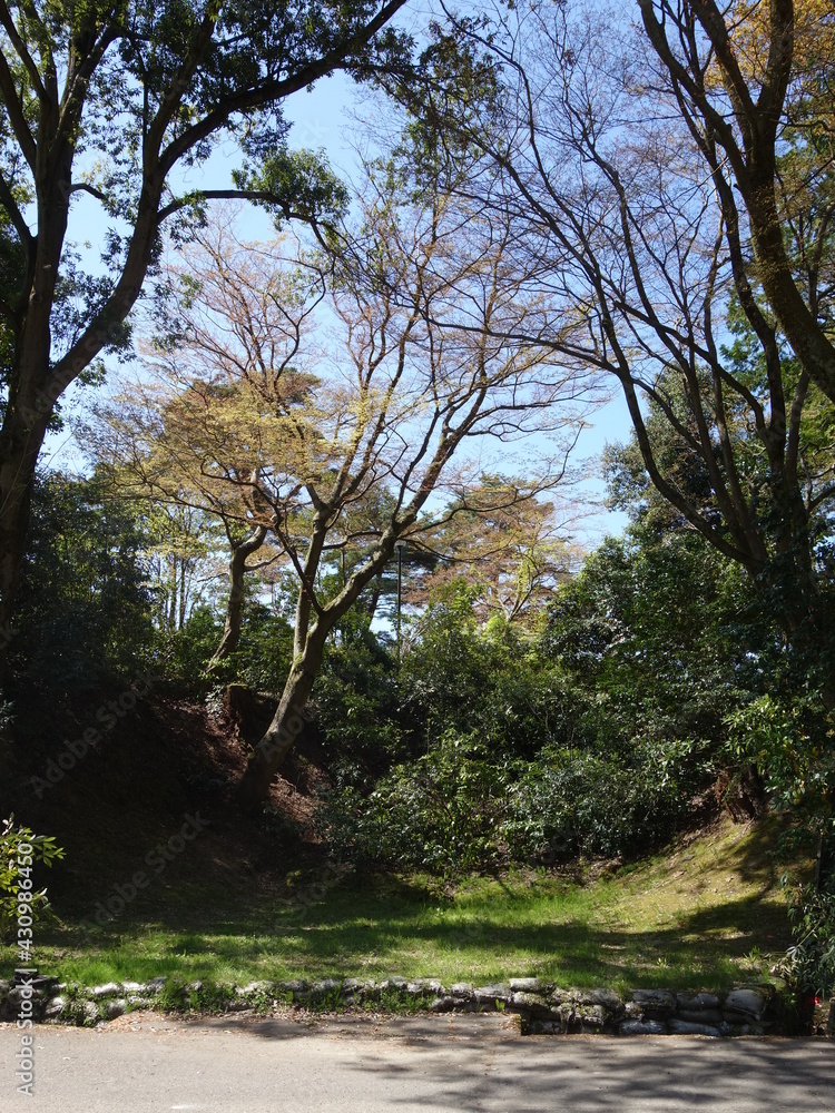 Fototapeta premium 春の卯辰山（石川）の風景