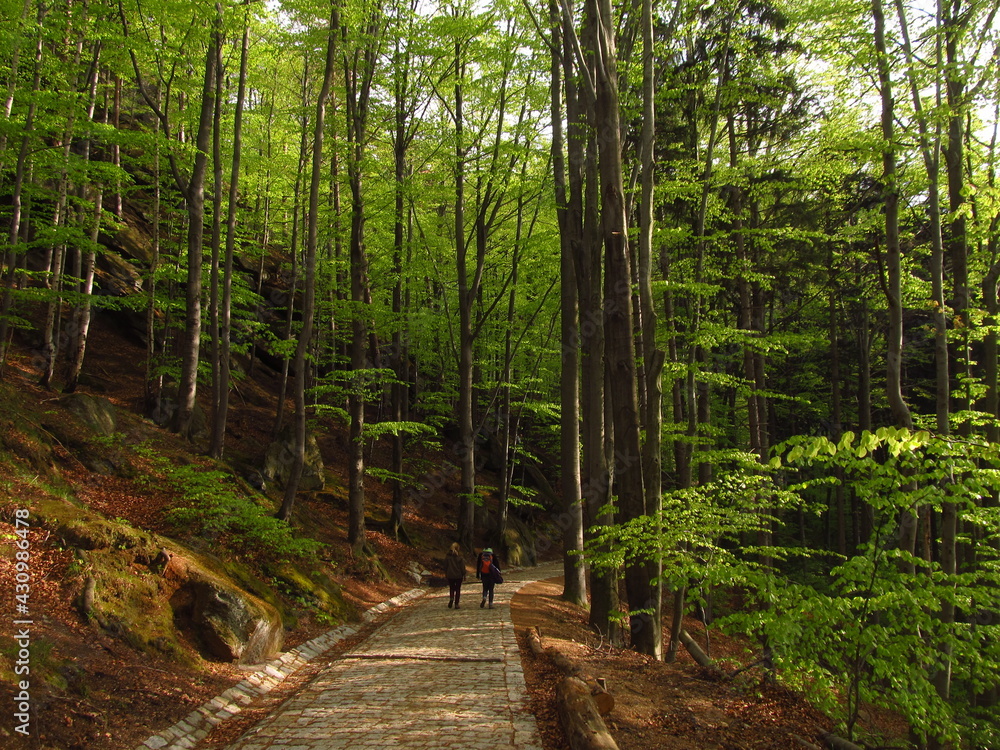 Two people are walking along a forest path made of pebbles, Poland