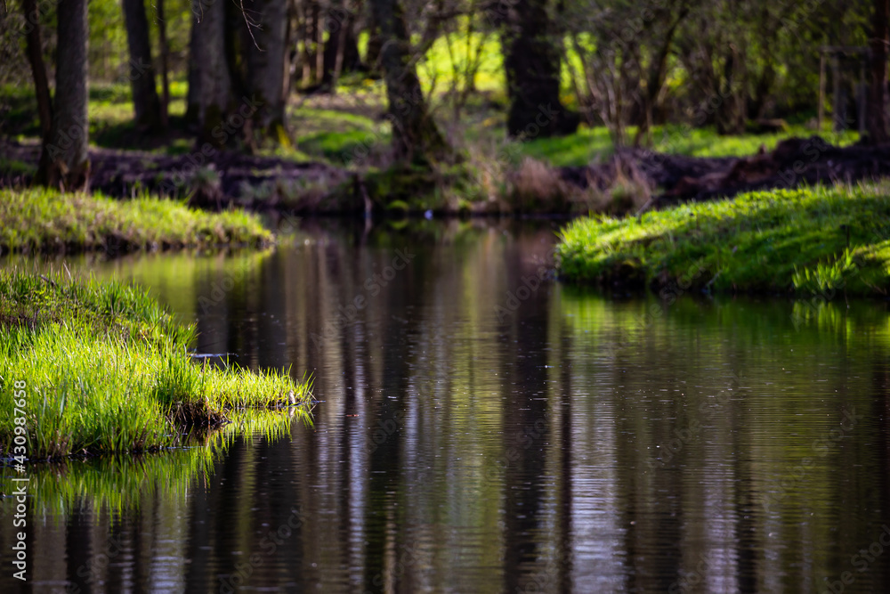 City park in the sunshine. A play of light and shadow between the trees. Made on a sunny day. Atmospheric light.