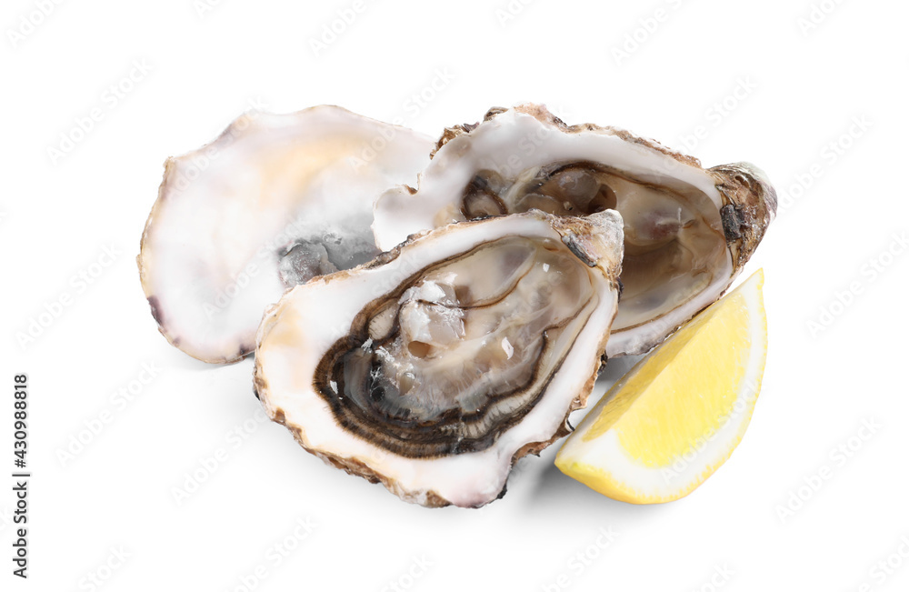 Fresh raw oysters served on white background Fresh raw oysters served on white background