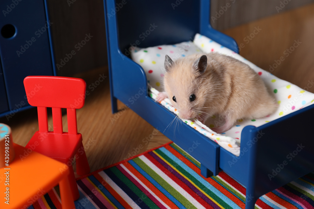 Hamster furniture hotsell