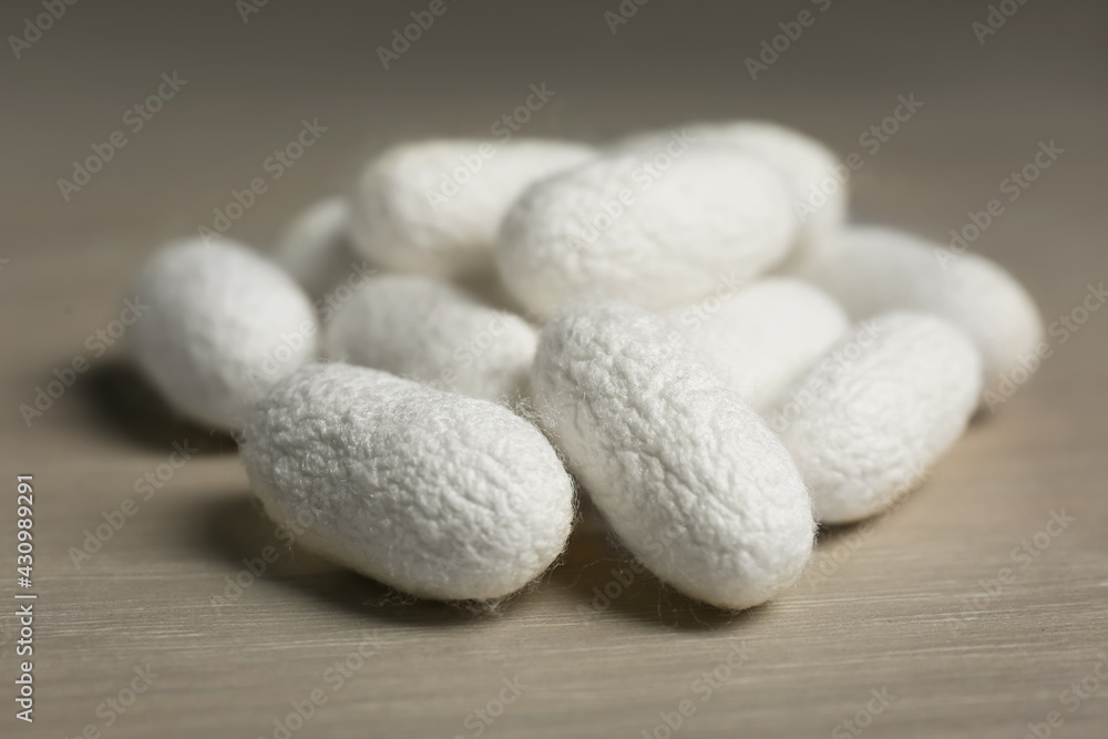 Heap of white silk cocoons on wooden table, closeup Heap of white silk cocoons on wooden table, closeup