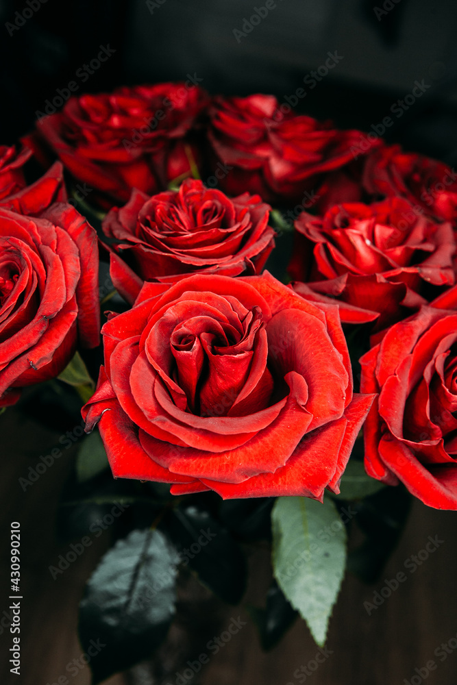 luxurious bouquet of large red roses close-up. low key photography, noir luxurious bouquet of large red roses close-up. low key photography, noir