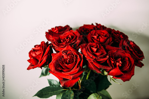 luxurious bouquet of large red roses close-up on a light background in the dark. low key photography  noir