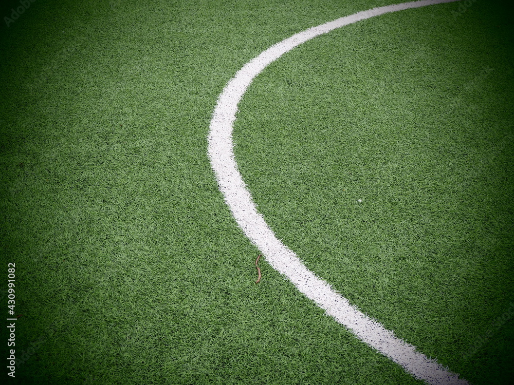 Fototapeta premium soccer field with grass