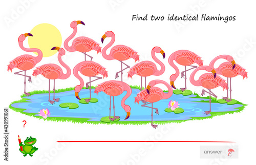 Logic puzzle game for children and adults. Find two identical flamingos. Memory exercises for seniors. Printable page for kids brain teaser book. Developing spatial thinking. IQ test. Play online.