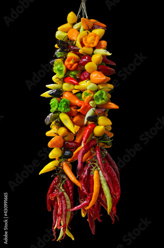 Multiple species of hot peppers of many colors and size