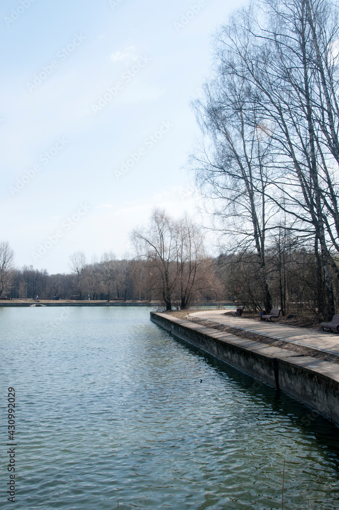Fototapeta premium View of the stone embankment and the trees of the city pond. Early spring.