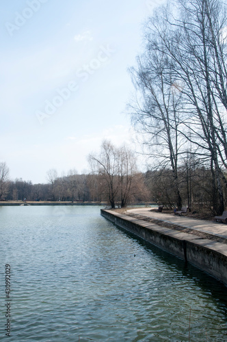 View of the stone embankment and the trees of the city pond. Early spring. © Viacheslav