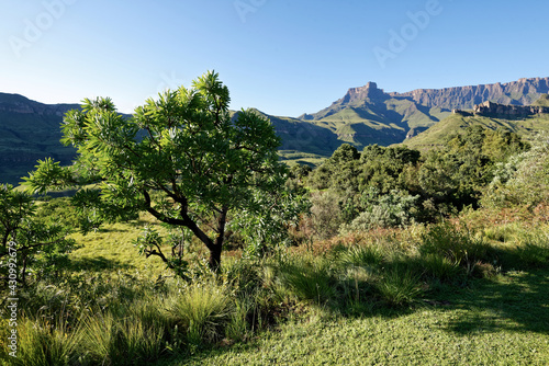 Südafrika - Drachenberge photo