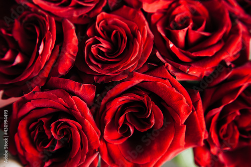 expensive bouquet of large red roses  background of many red roses