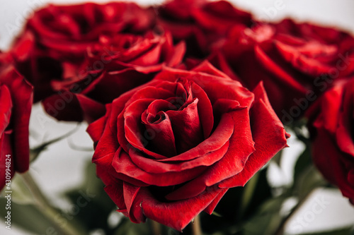 Fototapeta Naklejka Na Ścianę i Meble -  expensive bouquet of large red roses, background of many red roses