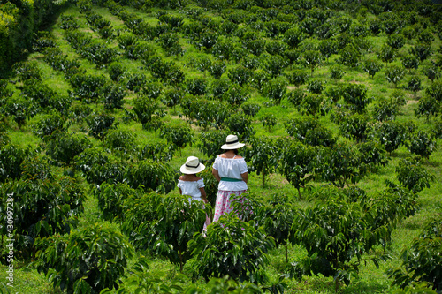 mother and daughter picking up coffee beans in Colombia