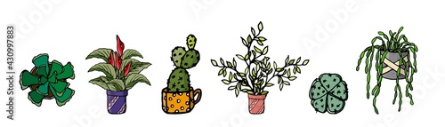 Home plants. Set with indoor plants Cactus, succulent and exotic flowers. and others in doodle and cartoon style. Home design. Vector hand drawing.