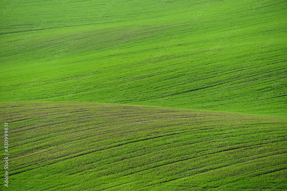 Beautiful spring landscape. Waves on the field - Moravian Tuscany Czech Republic.