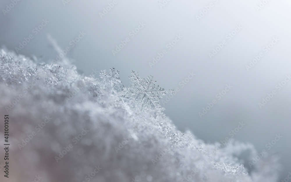 Snowflake in the snow, winter season