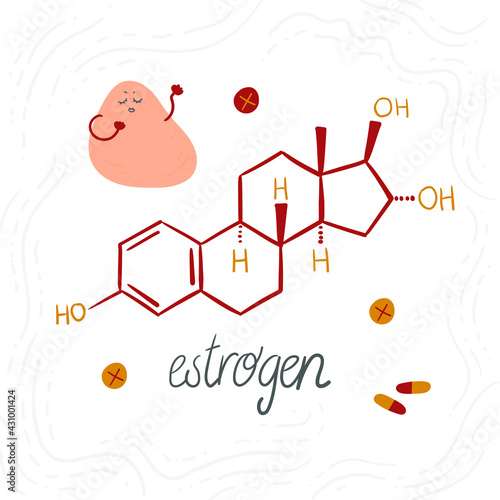 Estrogen chemical formula, female sex hormone. Hand-drawn doodle illustration with a cute abstract character. Symbol for biology, chemistry, naturopathy, medicine. Isolated on white.