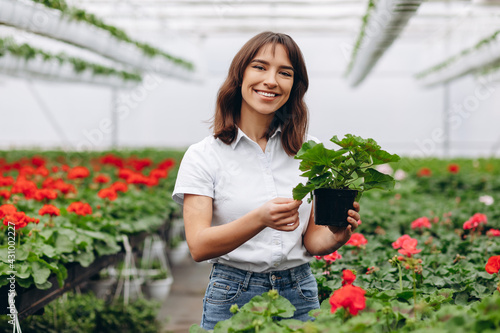 Inspired smiling young woman florist holding flowers of begonia in greenhouse. Female gardener working with plants.