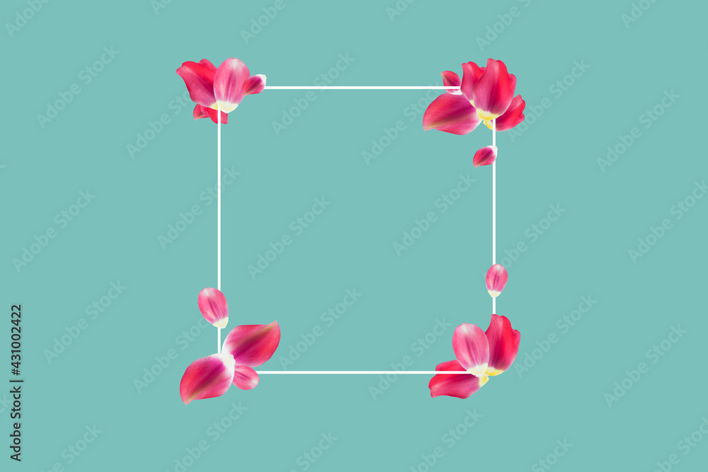 White frame with pink tulip petals on turquoise background; copy space; romantic illustration card