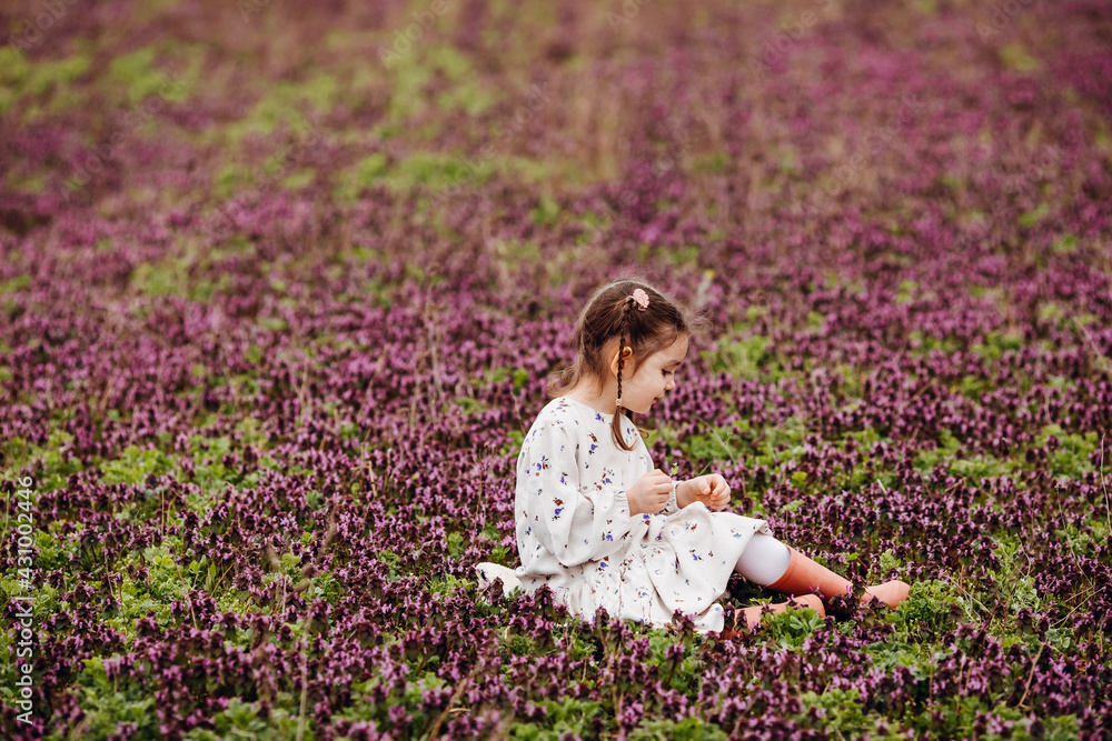 Little girl wearing a cotton dress and rubber boots, sitting in a field with purple flowers. Little girl wearing a cotton dress and rubber boots, sitting in a field with purple flowers.