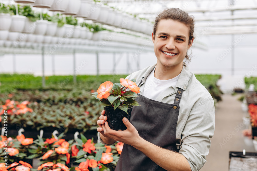Portrait of a young man florist that cares for the flowers in the greenhouse.