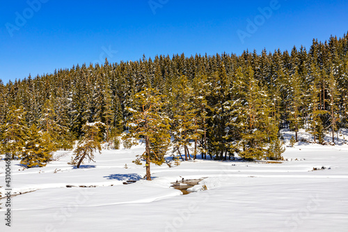 Amazing winter scene near Selishte, Rhodope mountains, Bulgaria photo