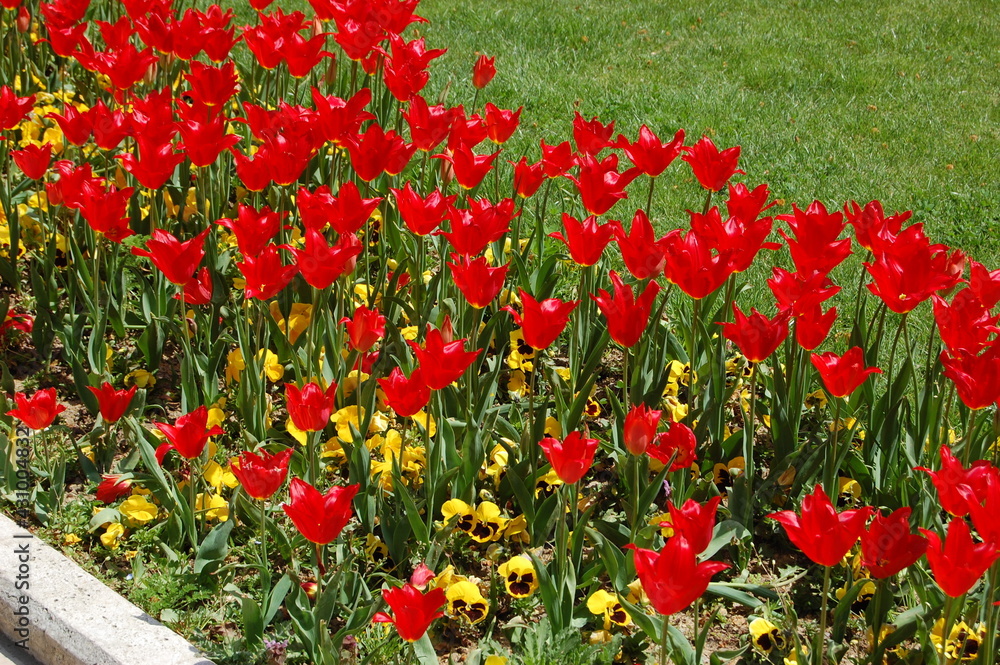 Fototapeta premium Istanbul