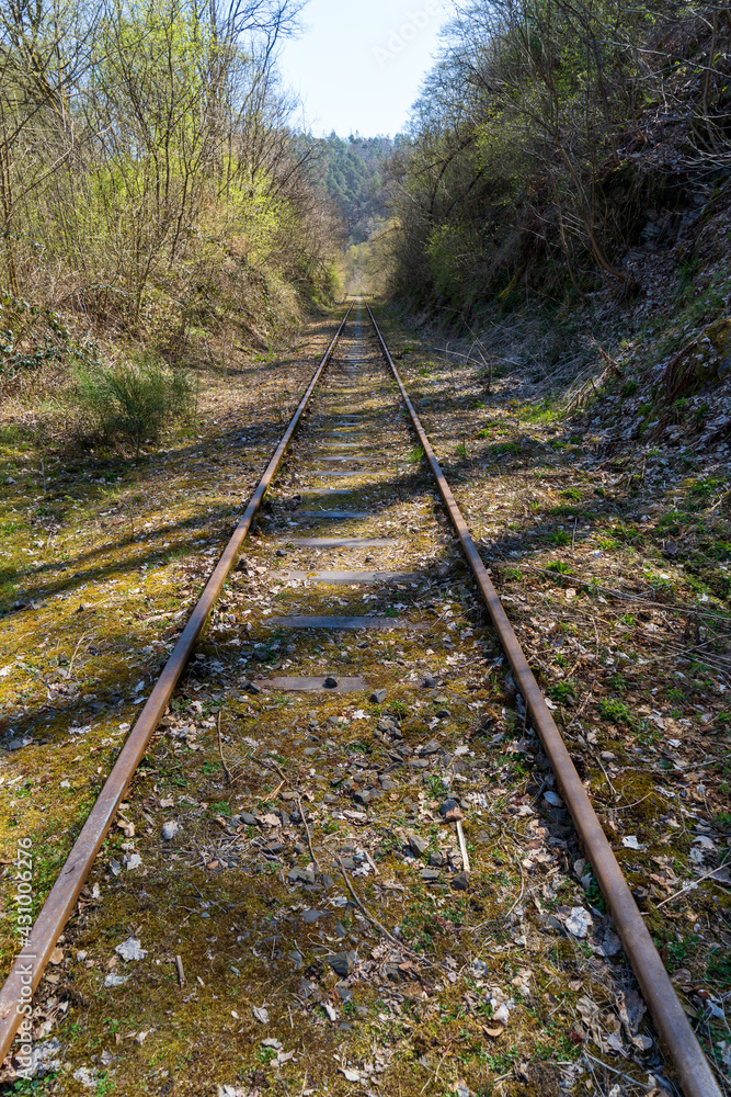 Naturaufnahme in der Umgebung von Koblenz Naturaufnahme in der Umgebung von Koblenz