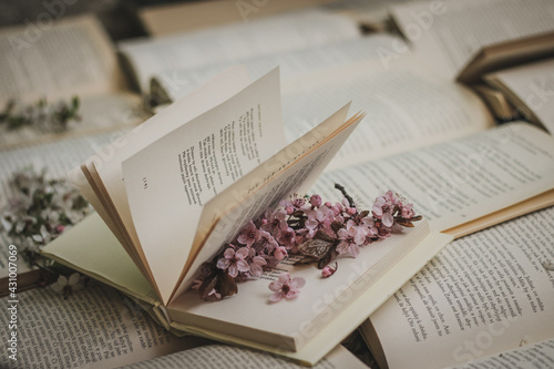 Books and spring photo
