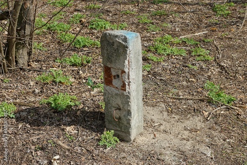 one old gray concrete restraining post stands in the ground among the green vegetation on the street