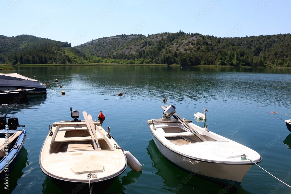 Small boats in port of Skradin, Croatia. White swan swimming around.