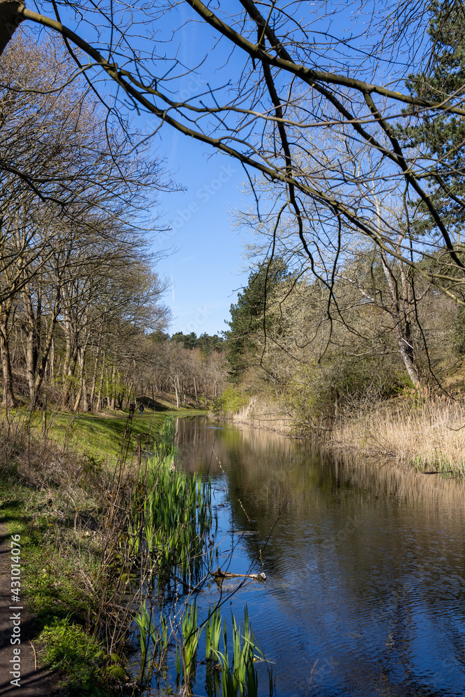 A scenic water irrigation canal in the nature reserve Oranjezon in Het Zeeuwse Landschap