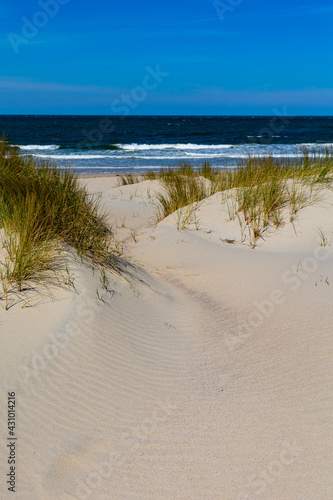 Sea waves and sand ripples in the nature park Oranjezon in The Netherlands